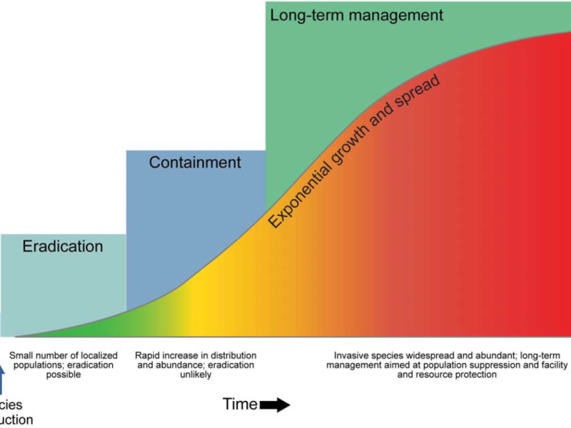 Graph showing the exponential spread of invasive species